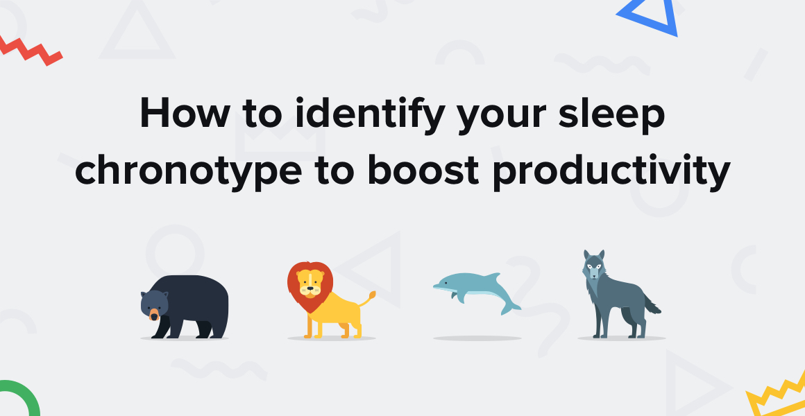 How to Synchronize Sleep Chronotypes and Productivity - Blog - Shift